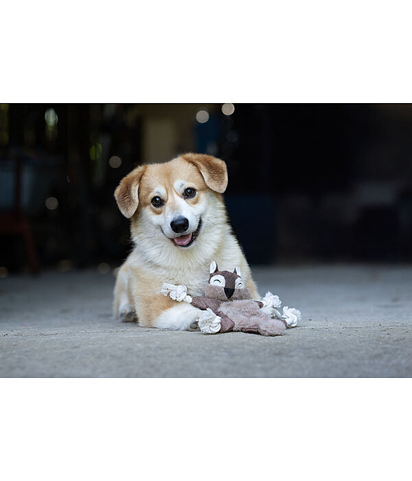 Scoiattolo peluche per cani