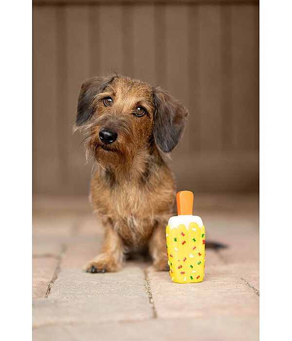 Giocattolo per cani Stecco gelato con squeaker