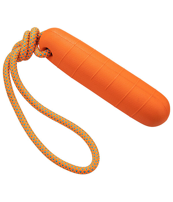 Gioco acquatico per cani