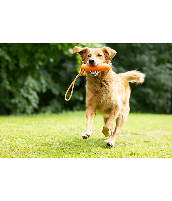 Gioco acquatico per cani