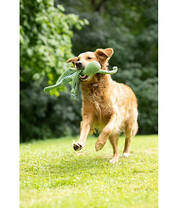 Giocattolo per cani Octopus