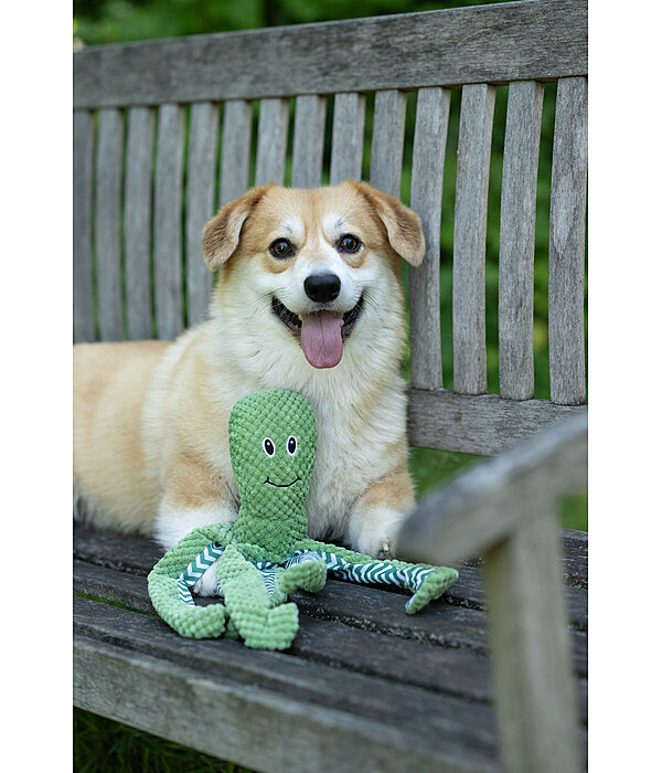 Giocattolo per cani Octopus