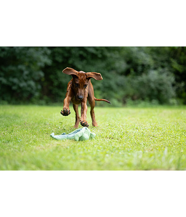Giocattolo per cani Octopus