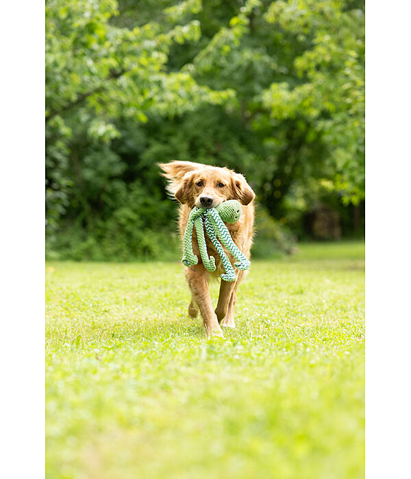 Giocattolo per cani Octopus