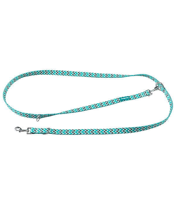 Set collare &  guinzaglio Zap