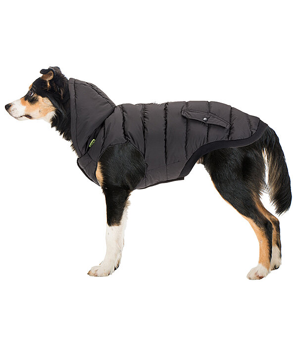Cappotto invernale Lightweight per cani Anton, 160 g