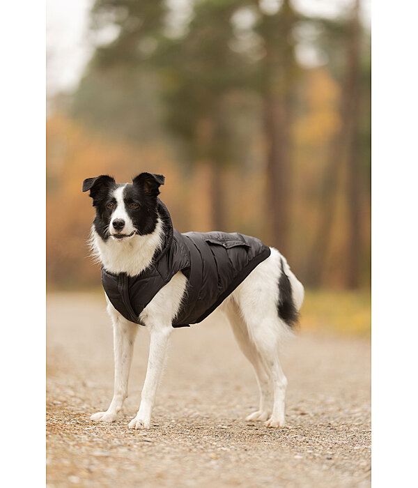 Cappotto invernale Lightweight per cani Anton, 160 g