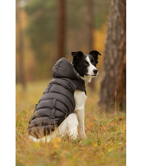 Cappotto invernale Lightweight per cani Anton, 160 g