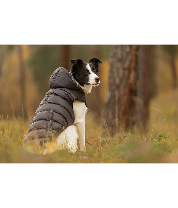 Cappotto invernale Lightweight per cani Anton, 160 g