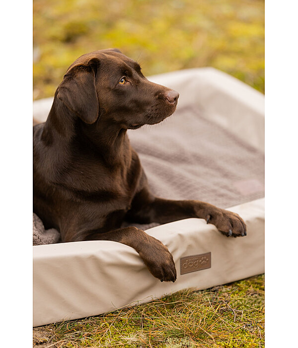 Cuccia per cani Komet