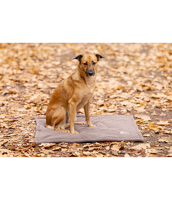 Coperta imbottita per cani Kobe