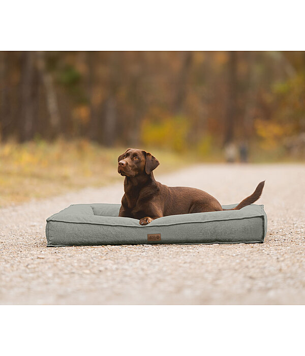 Cuccia per cani Carlo