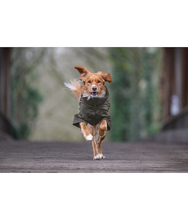 Cappotto combinato Performance Stretch per cani Baldo, 160 g