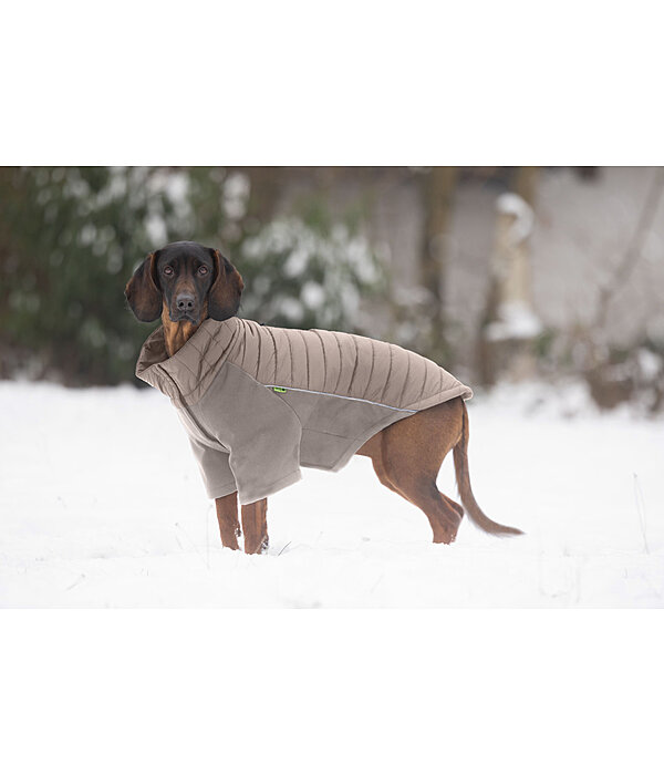 Cappotto combinato Performance Stretch per cani Baldo, 160 g