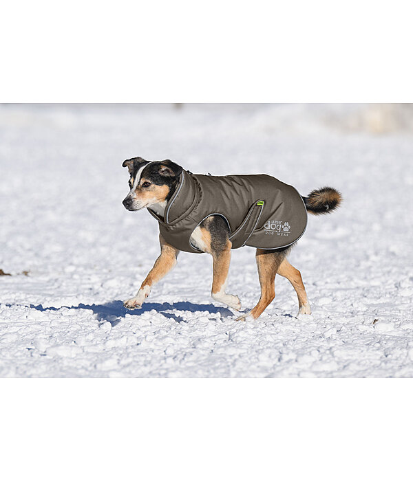 Cappotto invernale per cani Archie Snow Drift, 200 g