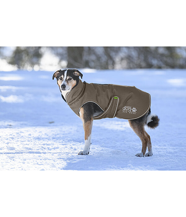 Cappotto invernale per cani Archie Snow Drift, 200 g