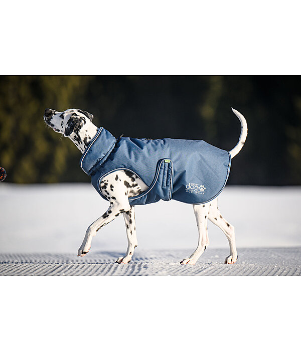 Cappotto invernale per cani Archie Snow Drift, 200 g