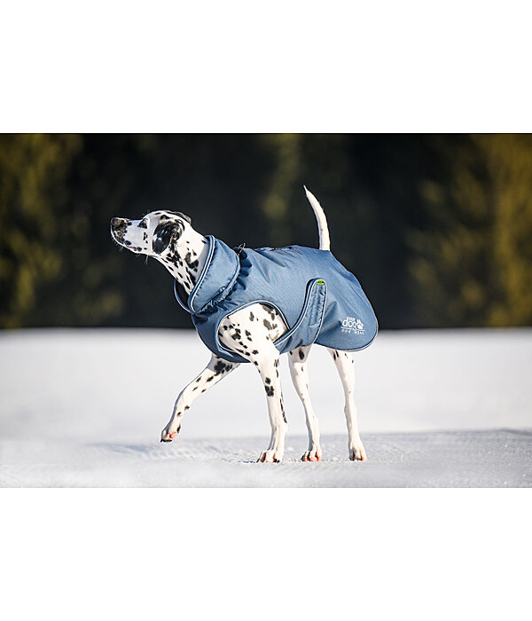 Cappotto invernale per cani Archie Snow Drift, 200 g