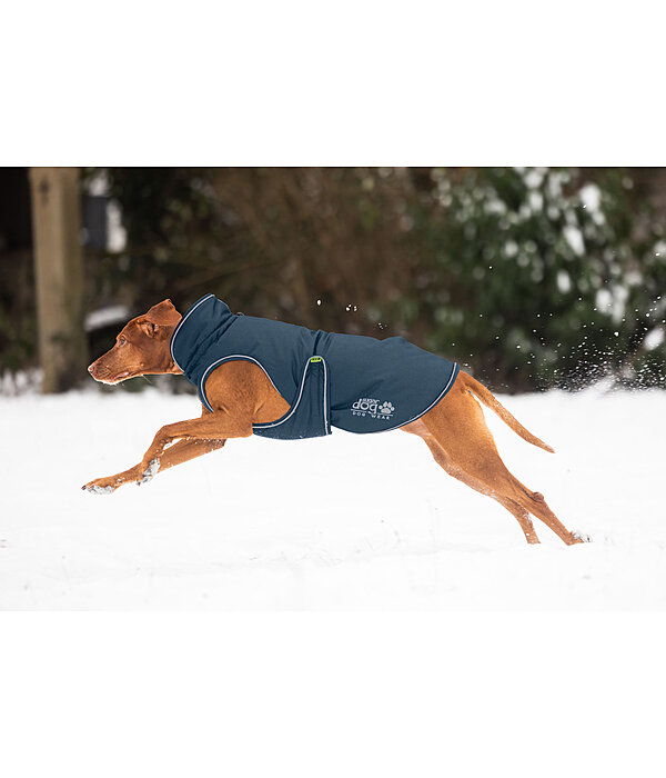 Cappotto invernale per cani Archie Snow Drift, 200 g