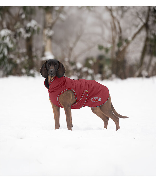 Cappotto invernale per cani Archie Snow Drift, 200 g