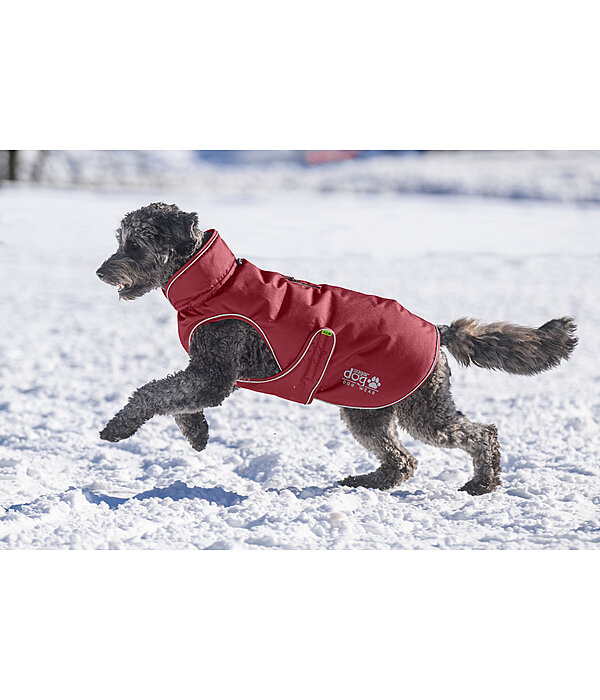Cappotto invernale per cani Archie Snow Drift, 200 g