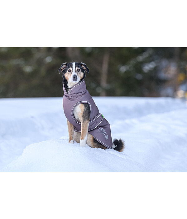 Cappotto invernale per cani Archie Snow Drift, 200 g