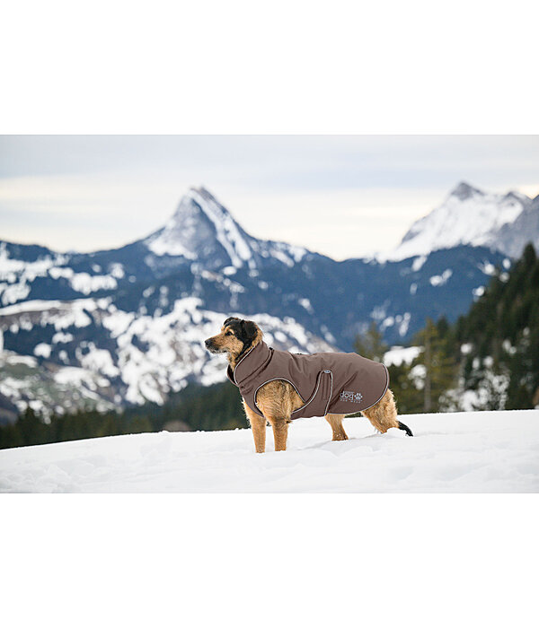 Cappotto invernale per cani Archie Snow Drift, 200 g
