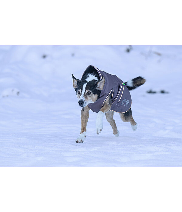Cappotto invernale per cani Archie Snow Drift, 200 g