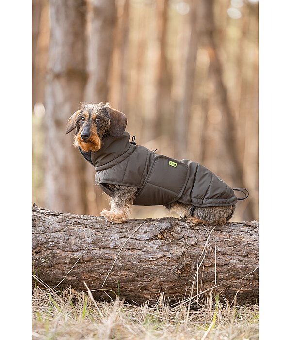 Cappotto invernale per bassotti Henry, 200 g