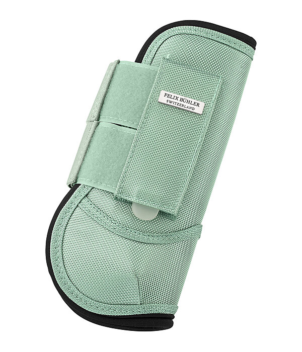Paratendini Sophistication