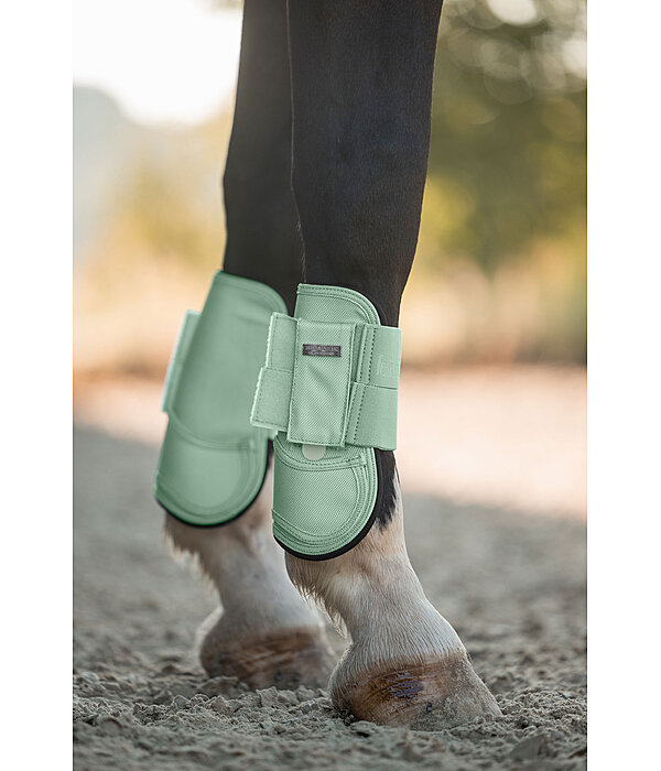 Paratendini Sophistication