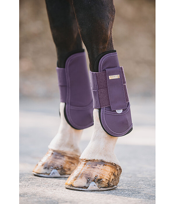 Paratendini Sophistication