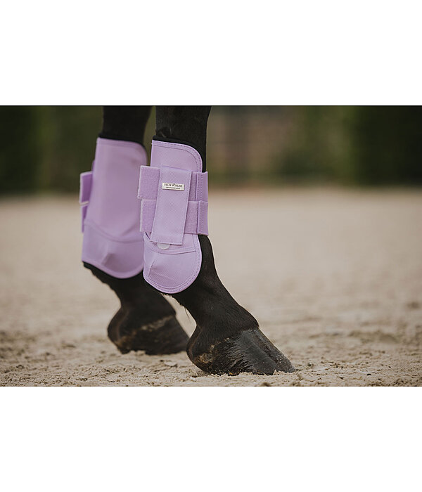 Paratendini Sophistication