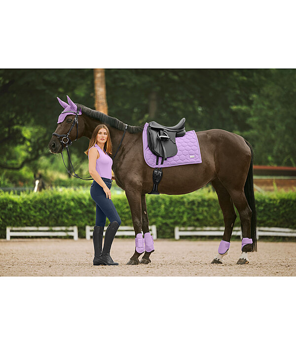 Paratendini Sophistication