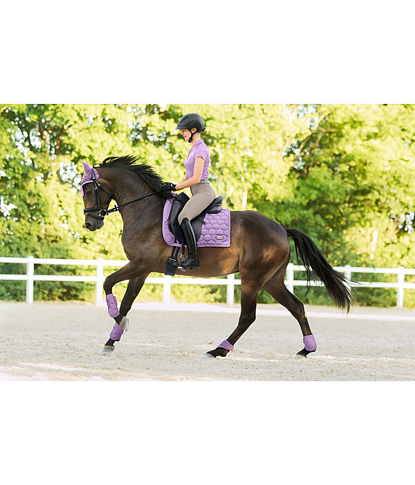 Paratendini Sophistication