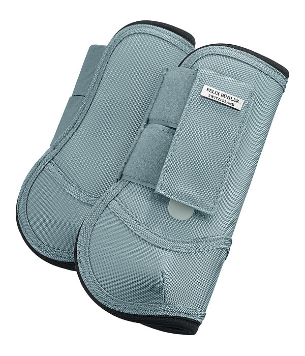 Paratendini Sophistication