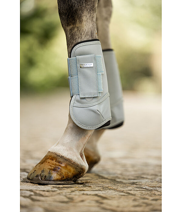 Paratendini Sophistication