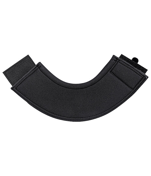 Paraglomi Technology