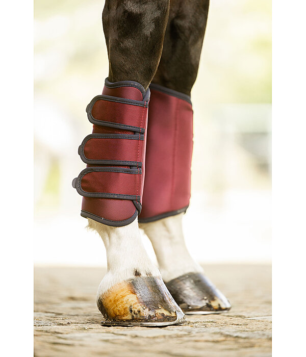 Stinchiere da dressage Twotone, anteriori