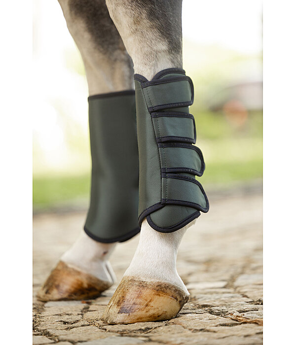 Stinchiere da dressage Twotone, posteriori