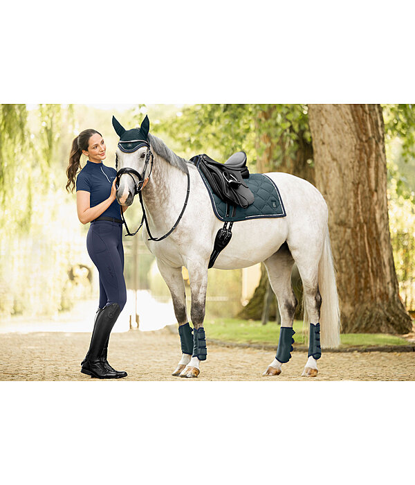 Stinchiere da dressage Twotone, posteriori