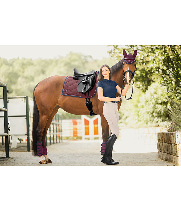 Stinchiere da dressage Twotone, posteriori