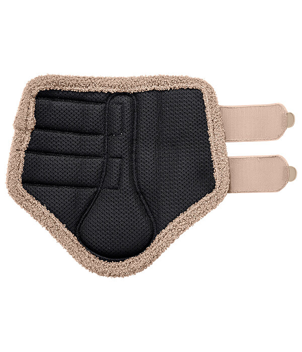 Stinchiere Teddy, anteriori