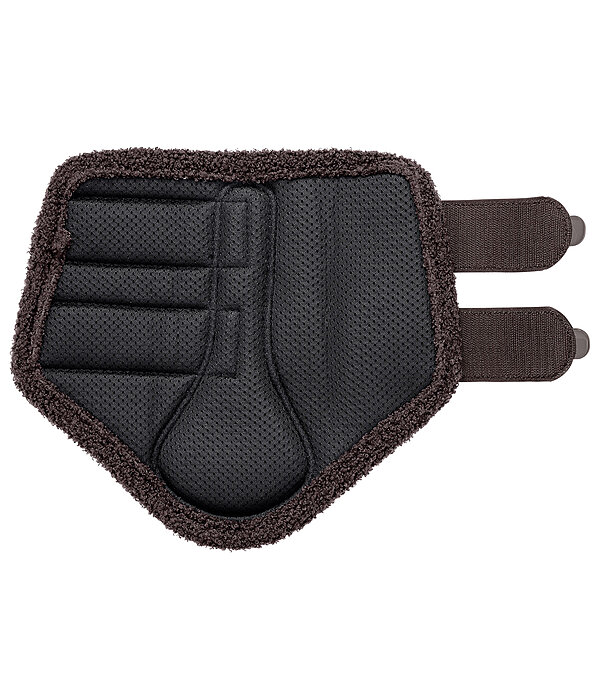 Stinchiere Teddy, anteriori