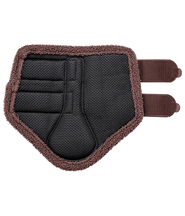 Stinchiere Teddy, anteriori