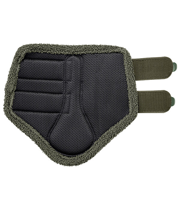 Stinchiere Teddy, anteriori