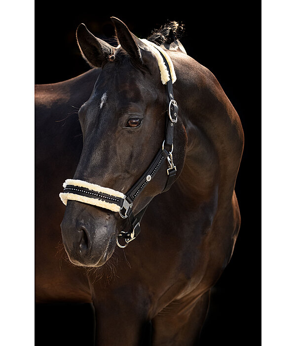 Capezza Luxury Diamonds