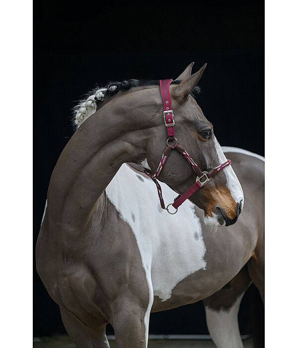 Capezza anatomica Sophistication