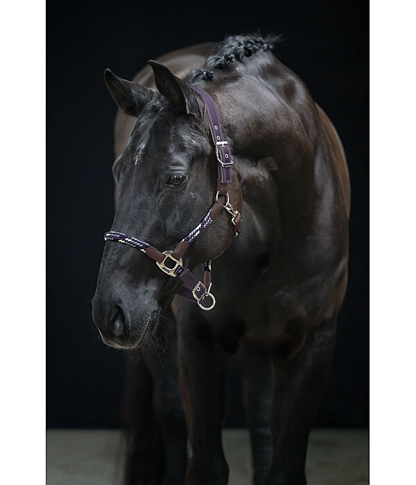 Capezza anatomica Sophistication