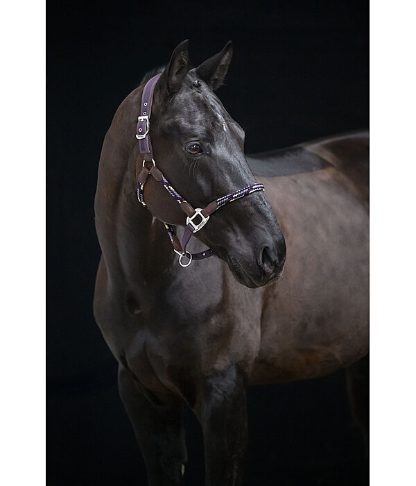 Capezza anatomica Sophistication